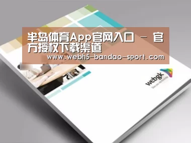 项目名称九