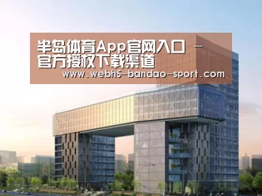 案例展示四