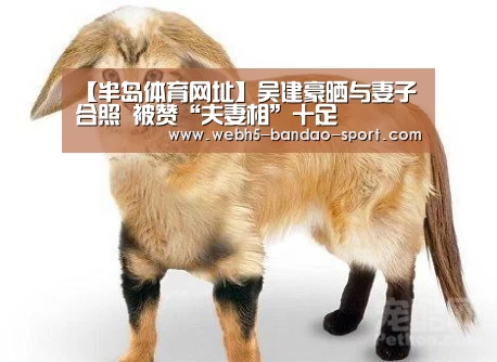半岛体育下载