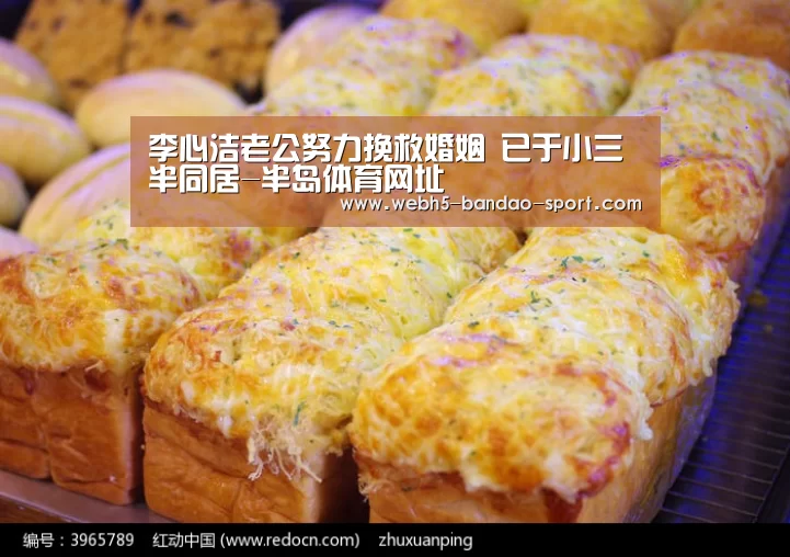 半岛体育网址