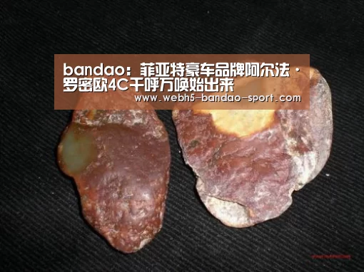 bandao：菲亚特豪车品牌阿尔法·罗密欧4C千呼万唤始出来(图2)
