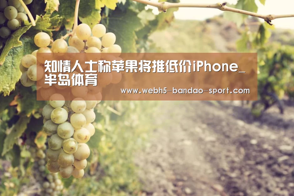 知情人士称苹果将推低价iPhone_半岛体育(图2)