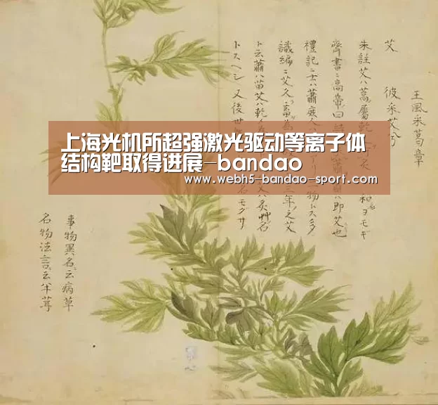 半岛体育下载