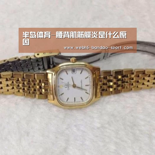 半岛体育-腰背肌筋膜炎是什么原因(图3)