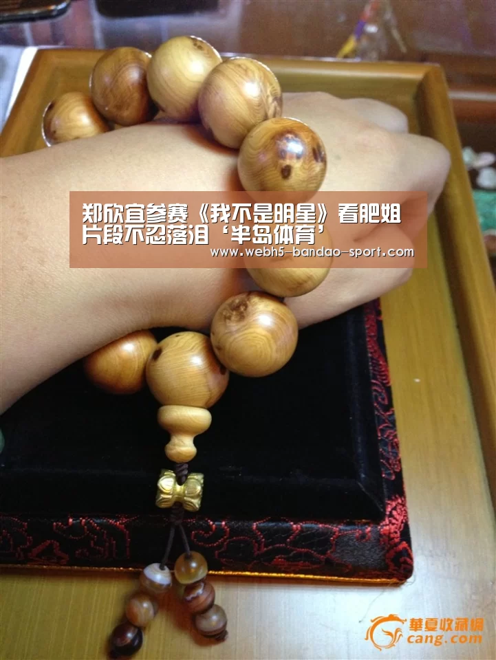 郑欣宜参赛《我不是明星》看肥姐片段不忍落泪‘半岛体育’(图1)