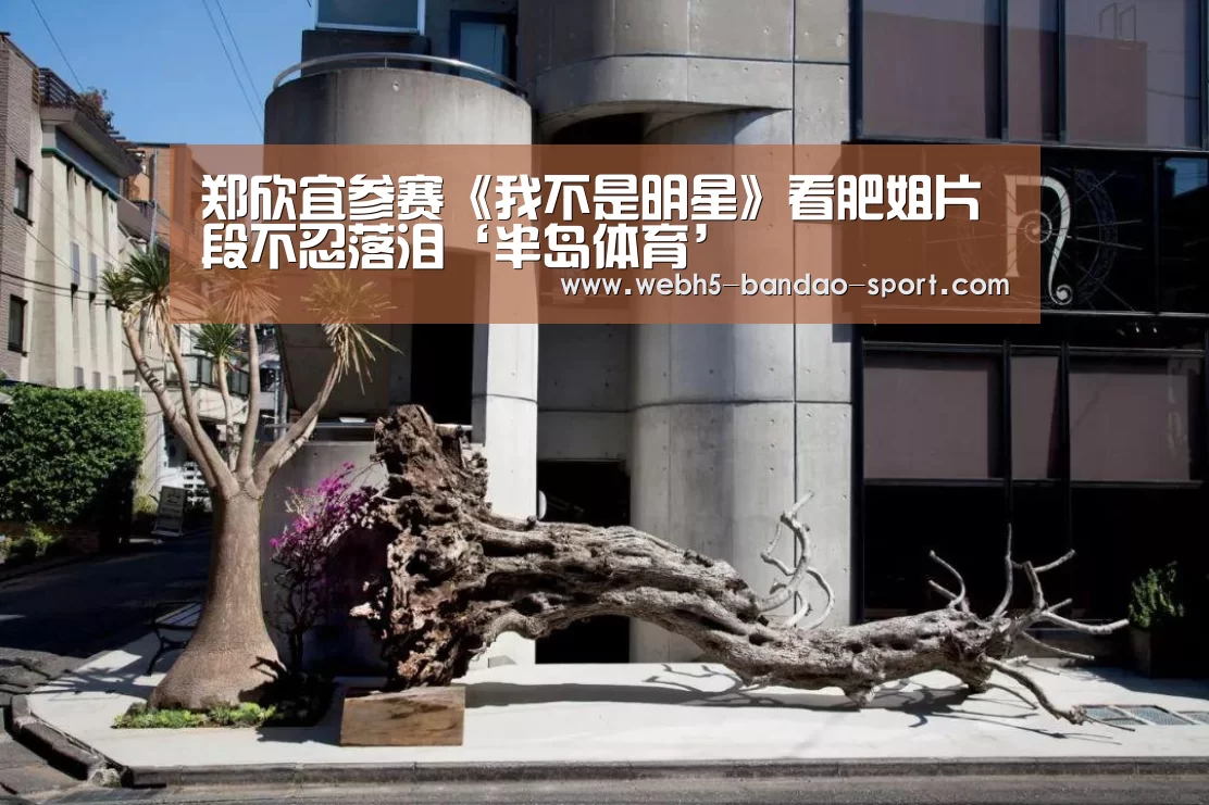 半岛体育下载