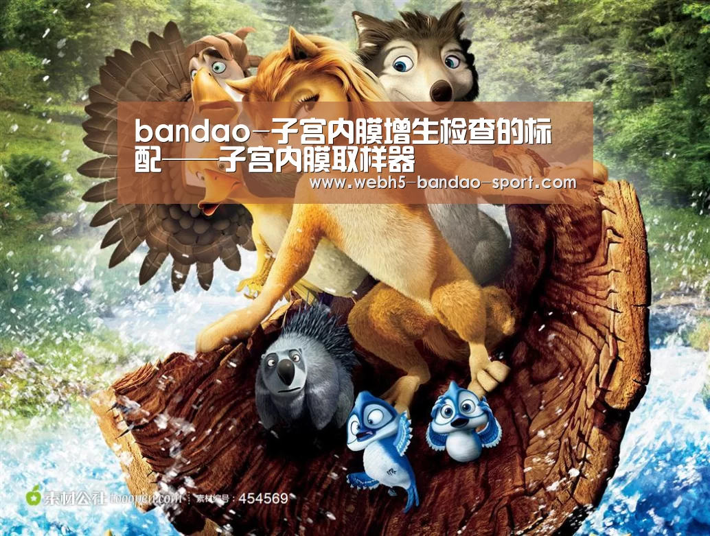bandao-子宫内膜增生检查的标配——子宫内膜取样器(图2) bandao-子宫内膜增生检查的标配——子宫内膜取样器(图2)