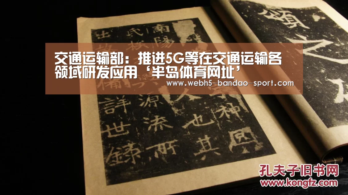 半岛体育网址
